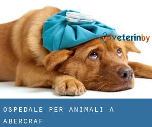 Ospedale per animali a Abercraf