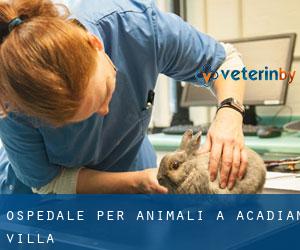 Ospedale per animali a Acadian Villa