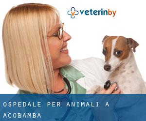 Ospedale per animali a Acobamba