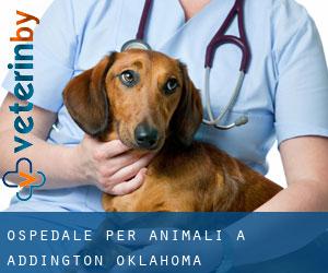 Ospedale per animali a Addington (Oklahoma)