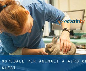 Ospedale per animali a Aird of Sleat