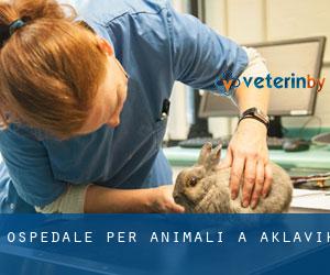 Ospedale per animali a Aklavik