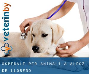 Ospedale per animali a Alfoz de Lloredo