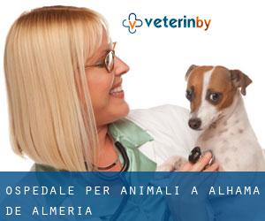 Ospedale per animali a Alhama de Almería