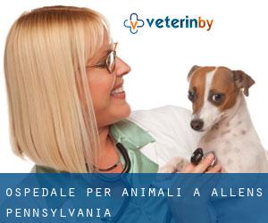 Ospedale per animali a Allens (Pennsylvania)