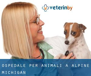Ospedale per animali a Alpine (Michigan)
