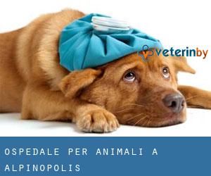 Ospedale per animali a Alpinópolis