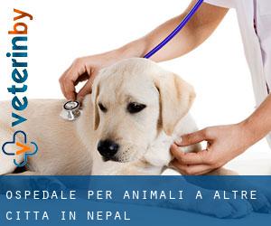 Ospedale per animali a Altre città in Nepal