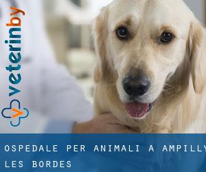 Ospedale per animali a Ampilly-les-Bordes