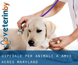 Ospedale per animali a Amys Acres (Maryland)