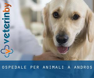 Ospedale per animali a Andros