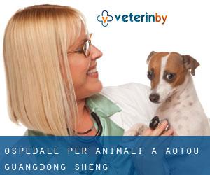 Ospedale per animali a Aotou (Guangdong Sheng)