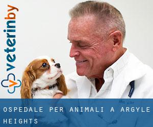 Ospedale per animali a Argyle Heights