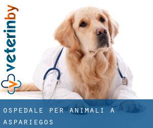 Ospedale per animali a Aspariegos