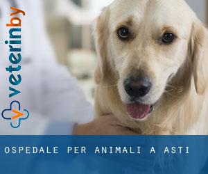 Ospedale per animali a Asti