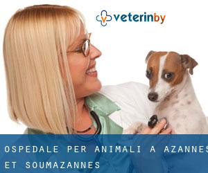Ospedale per animali a Azannes-et-Soumazannes