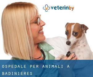 Ospedale per animali a Badinières