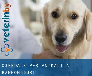 Ospedale per animali a Bannoncourt