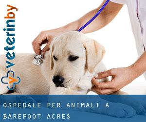 Ospedale per animali a Barefoot Acres