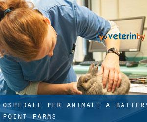 Ospedale per animali a Battery Point Farms