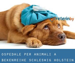Ospedale per animali a Bekenreihe (Schleswig-Holstein)