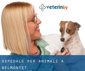Ospedale per animali a Belmontet