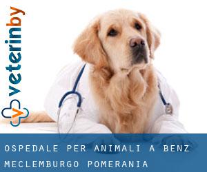 Ospedale per animali a Benz (Meclemburgo-Pomerania Anteriore)