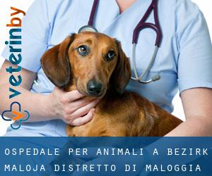 Ospedale per animali a Bezirk Maloja / Distretto di Maloggia