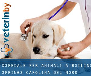 Ospedale per animali a Boiling Springs (Carolina del Nord)