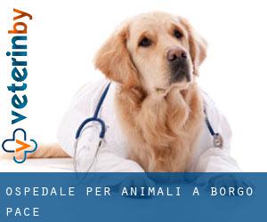 Ospedale per animali a Borgo Pace