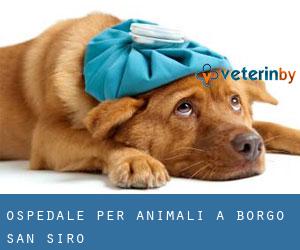 Ospedale per animali a Borgo San Siro