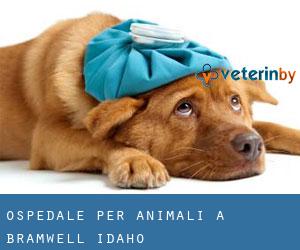 Ospedale per animali a Bramwell (Idaho)