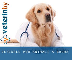 Ospedale per animali a Bronx Ospedale per animali a Bronx