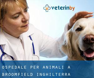 Ospedale per animali a Broomfield (Inghilterra)