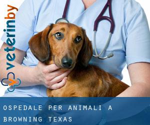 Ospedale per animali a Browning (Texas)