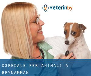 Ospedale per animali a Brynamman