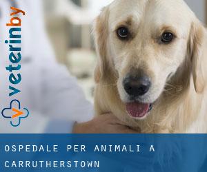 Ospedale per animali a Carrutherstown