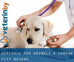 Ospedale per animali a Carson City (Nevada)