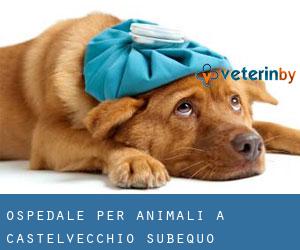 Ospedale per animali a Castelvecchio Subequo