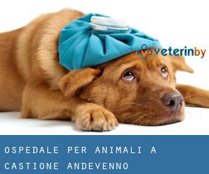 Ospedale per animali a Castione Andevenno