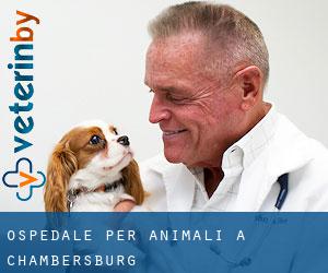 Ospedale per animali a Chambersburg