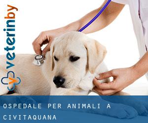 Ospedale per animali a Civitaquana
