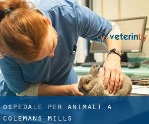 Ospedale per animali a Colemans Mills