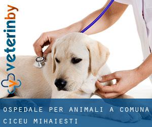 Ospedale per animali a Comuna Ciceu-Mihăieşti