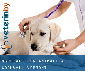 Ospedale per animali a Cornwall (Vermont)