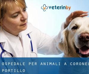 Ospedale per animali a Coronel Portillo