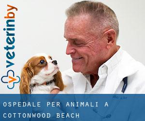 Ospedale per animali a Cottonwood Beach