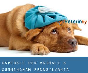 Ospedale per animali a Cunningham (Pennsylvania)