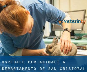 Ospedale per animali a Departamento de San Cristóbal