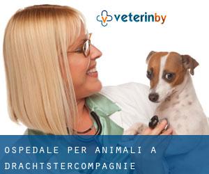 Ospedale per animali a Drachtstercompagnie
